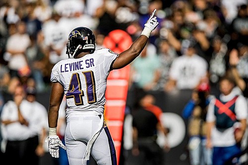 Anthony Levine's reputation as a grimy, 'do whatever it takes player' is the epitome of the Ravens culture.