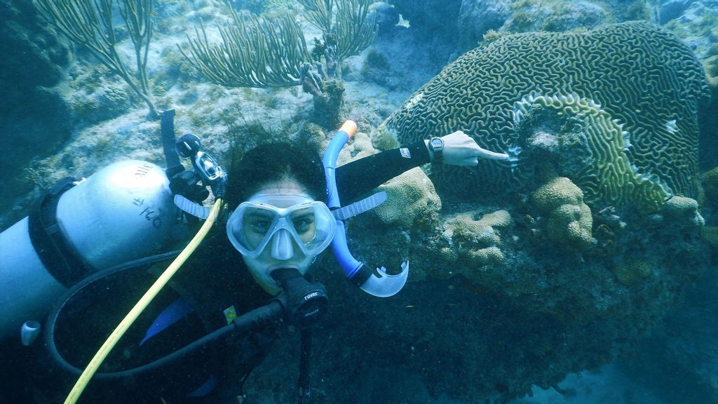 Divers are seeking to compare Stony Coral Tissue Loss Disease on the Florida reef with a similar outbreak at Xcalak Reef National Park in Mexico. (Emma Doyle, Gulf and Caribbean Fisheries Institute/Zenger News)
