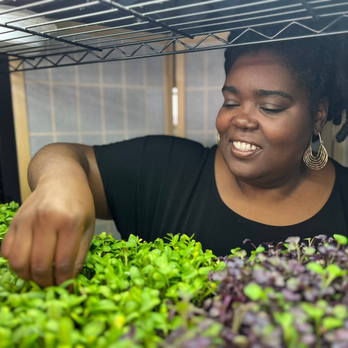 Baltimore’s First “Grow Well Vertical Farm” Launches at Langston Hughes Community, Business & Resource Center