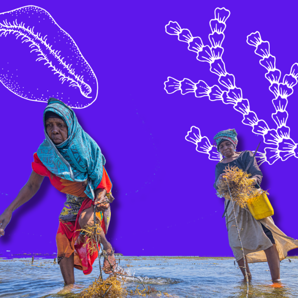 From Resilience to Climate Sovereignty: Black Women Create Community-Led Solutions