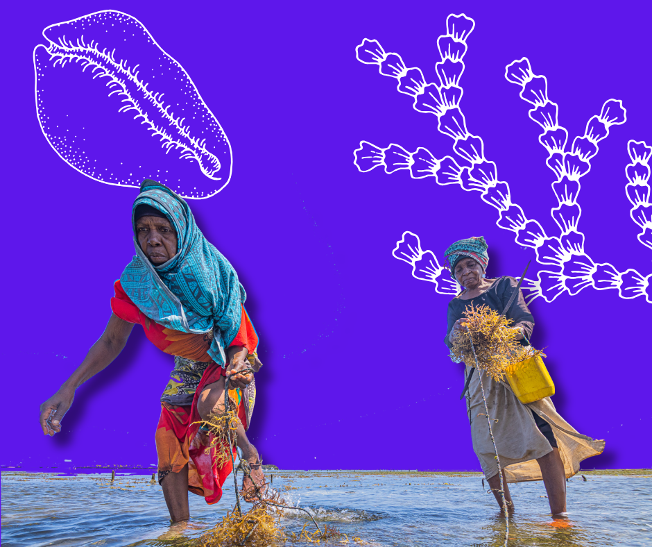 From Resilience to Climate Sovereignty: Black Women Create Community-Led Solutions